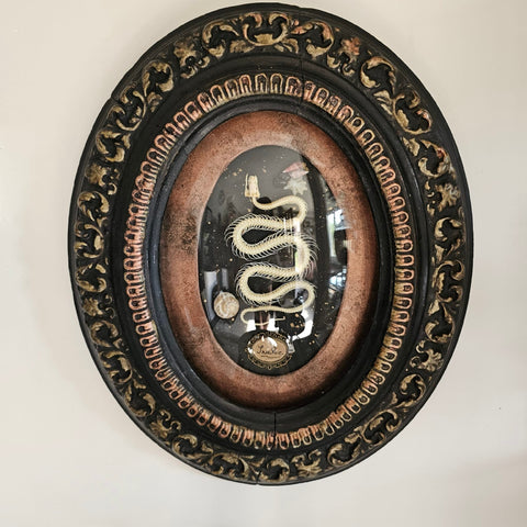 Cabinet de Curiosité