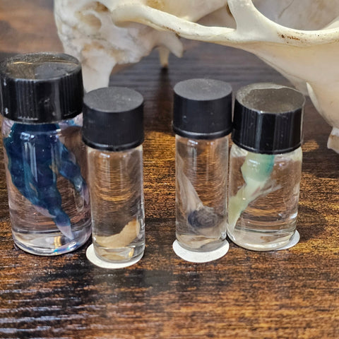 Lot de 4 fioles de curiosités – Conservation humide et diaphanisation steampunk médiéval fait main | Atelier AnJo