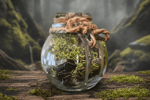 Spell Jar Purification – Tourmaline Noire, Cristal de Roche et Aventurine Verte steampunk médiéval fait main | Atelier AnJo