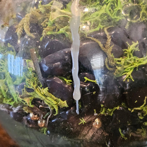 Spell Jar Purification – Tourmaline Noire, Cristal de Roche et Aventurine Verte steampunk médiéval fait main | Atelier AnJo